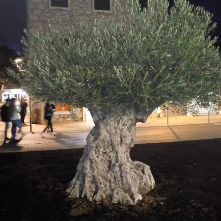 Appartamento Mladen Za Familiju