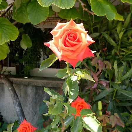 Appartamento Mladen Za Familiju *