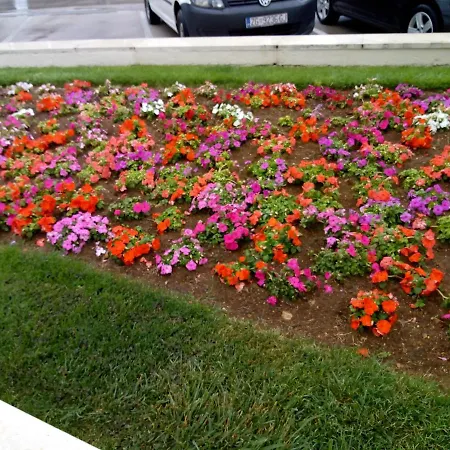 Mladen Za Familiju * Vodice