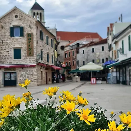 Mladen Za Familiju *