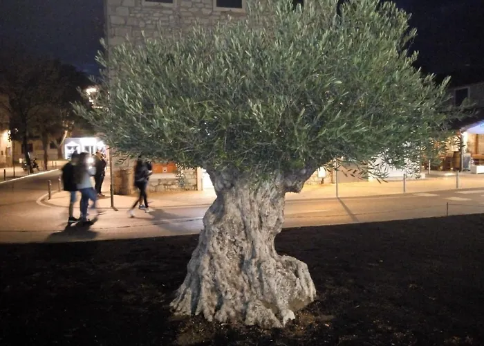 公寓 Mladen Za Familiju