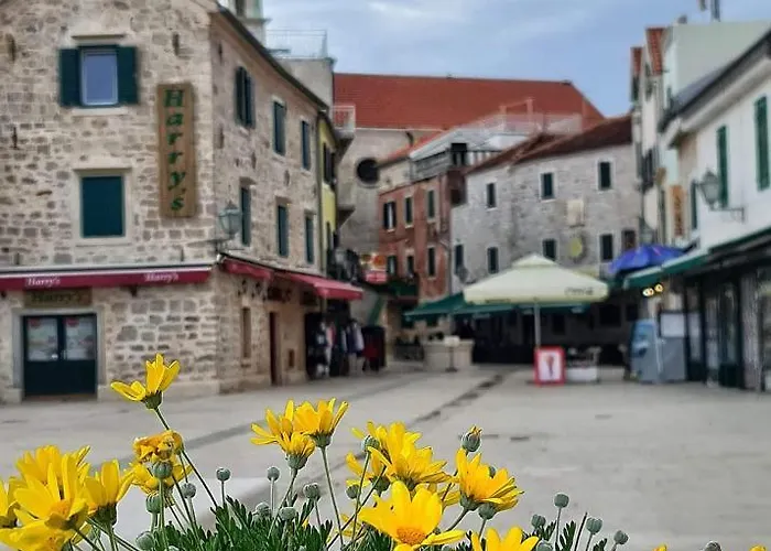 Mladen Za Familiju *